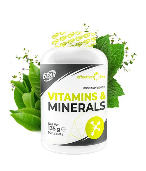 6PAK Vitamins and Minerals – 90tab
