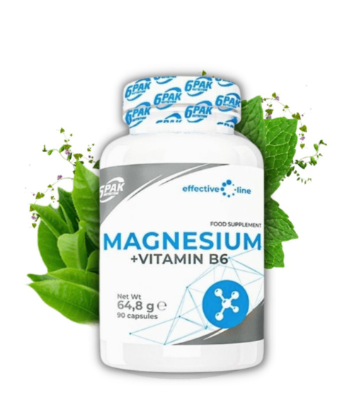 6PAK Magnesium + Vitamin B6 90caps
