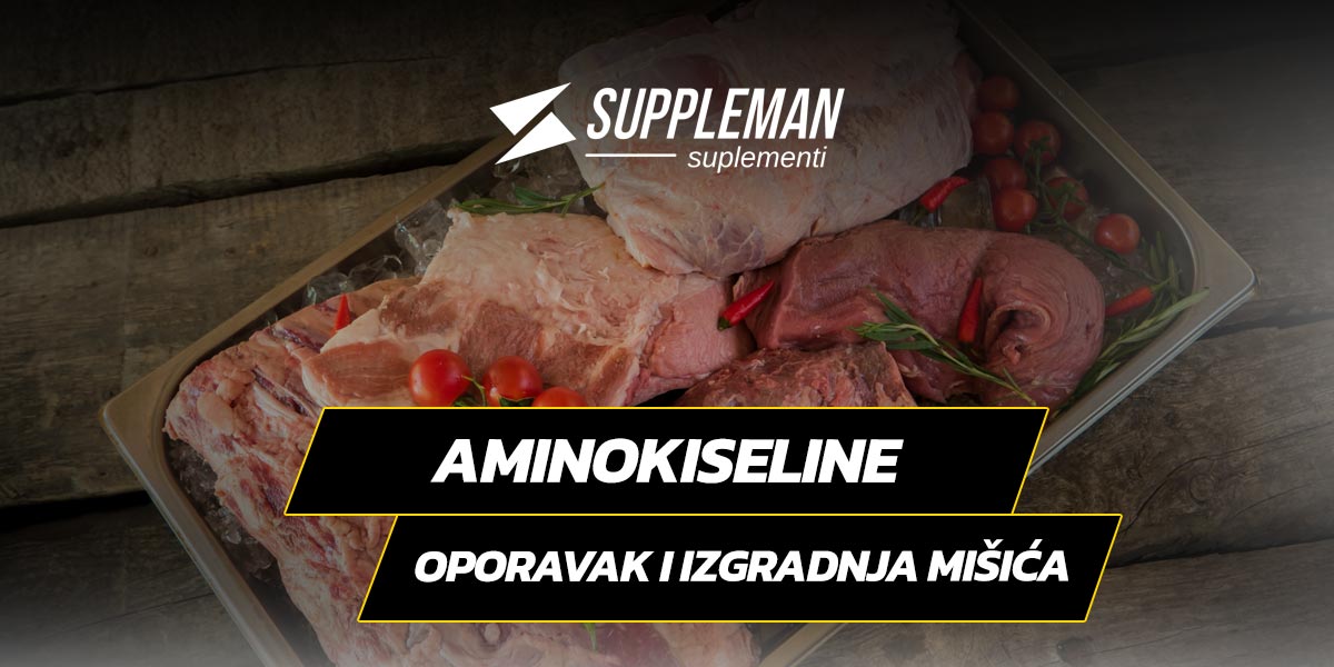 Aminokiseline: ključna podrška za oporavak mišića i izgradnju mase