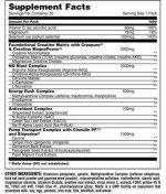 Animal Pump - Image 2