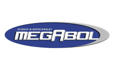 mega-1